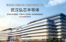 Can a ban order restrain the “dark horse” of Wuhan Hongxin?
