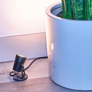 LED Indoor Spot Light for Plants & Accent Lighting – Uplight & Down Spotlight for Potted Plants Home & Living Room (3W LED) Decorative 110V Lamp with Plug for Interior Wall (Warm White) (with Base)