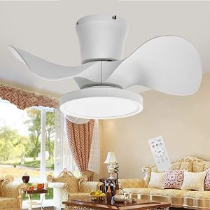 TALOYA 22 inch Ceiling Fan with 3 Color Temperatures Light and Remote Control DC Moter Powerful and Quiet White